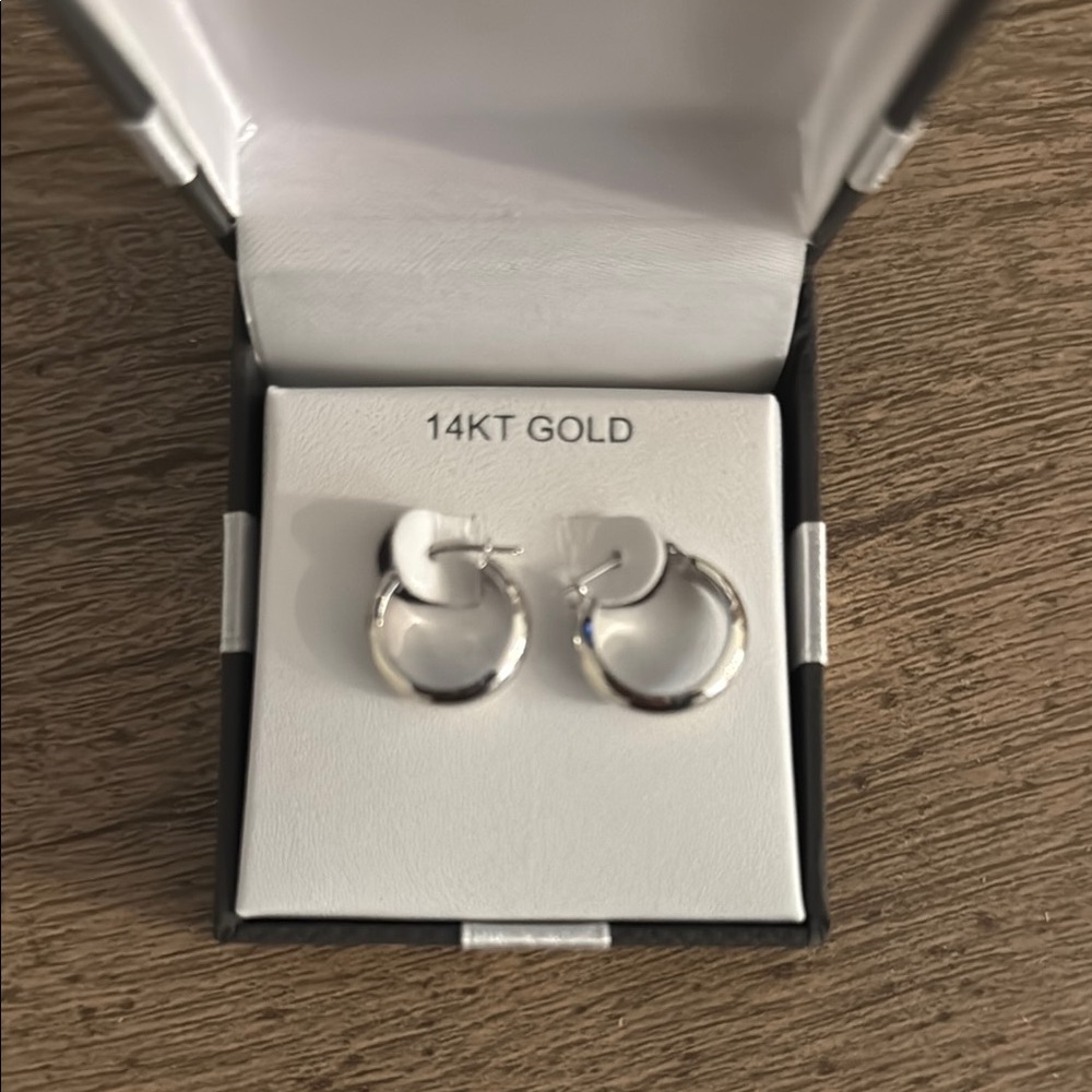 14KT Gold Hoop Earrings